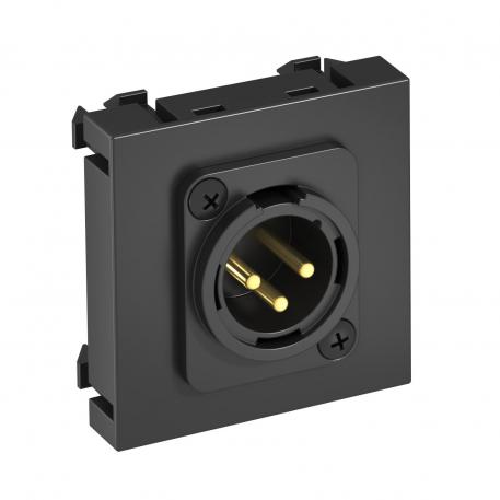 Ligação XLR, 1 módulo, saída plana, ficha 3 polos, com ligação roscada, cinzento antracite reta |  | XLR | cinzento escuro; RAL 7021