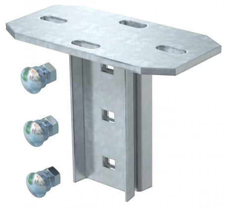 Cabeça de perfil, longitudinal